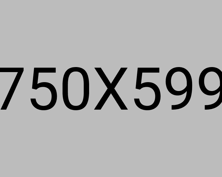 Stylish Dinner Chairs